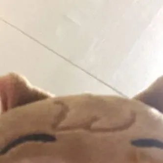 chat with ai character: Hansito🐿️