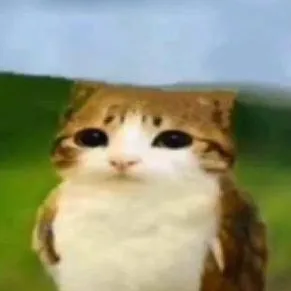 chat with ai character: Meowl