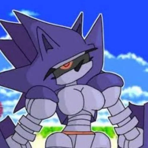 chat with ai character: MECHA GIRL SONIC