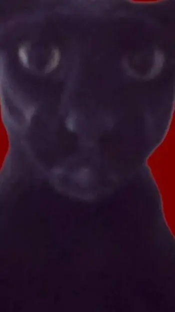ai character: evil Larry  background