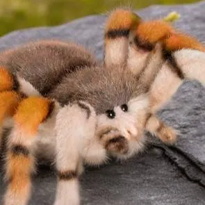 chat with ai character: plush tarantula 