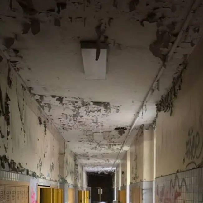 chat with ai character: escuela abandonada