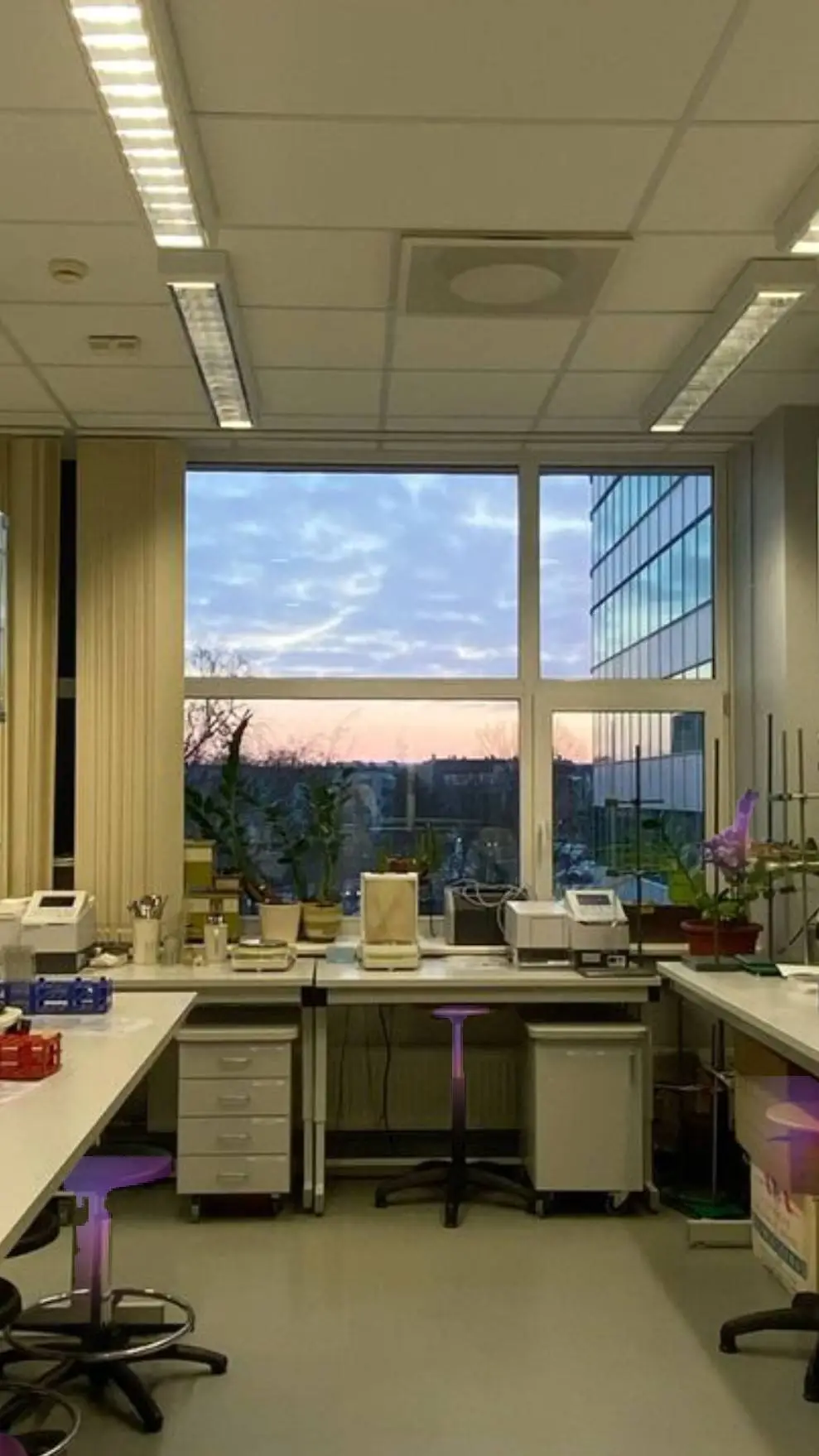 ai character: laboratorio 🧪🧫 background