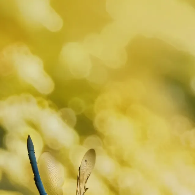 chat with ai character: fpe hate you