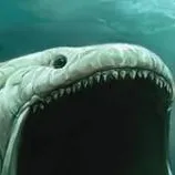 chat with ai character: bloop