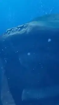 ai character: heal bloop background