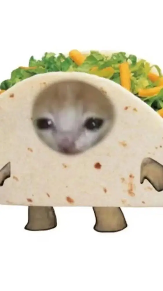 ai character: Taco cat background