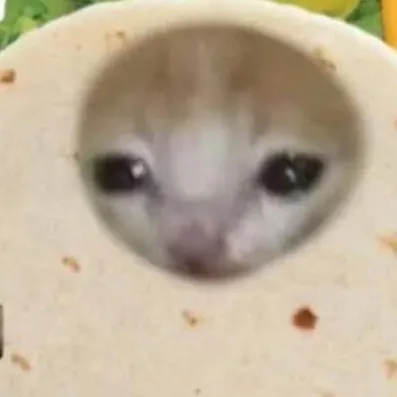 chat with ai character: Taco cat