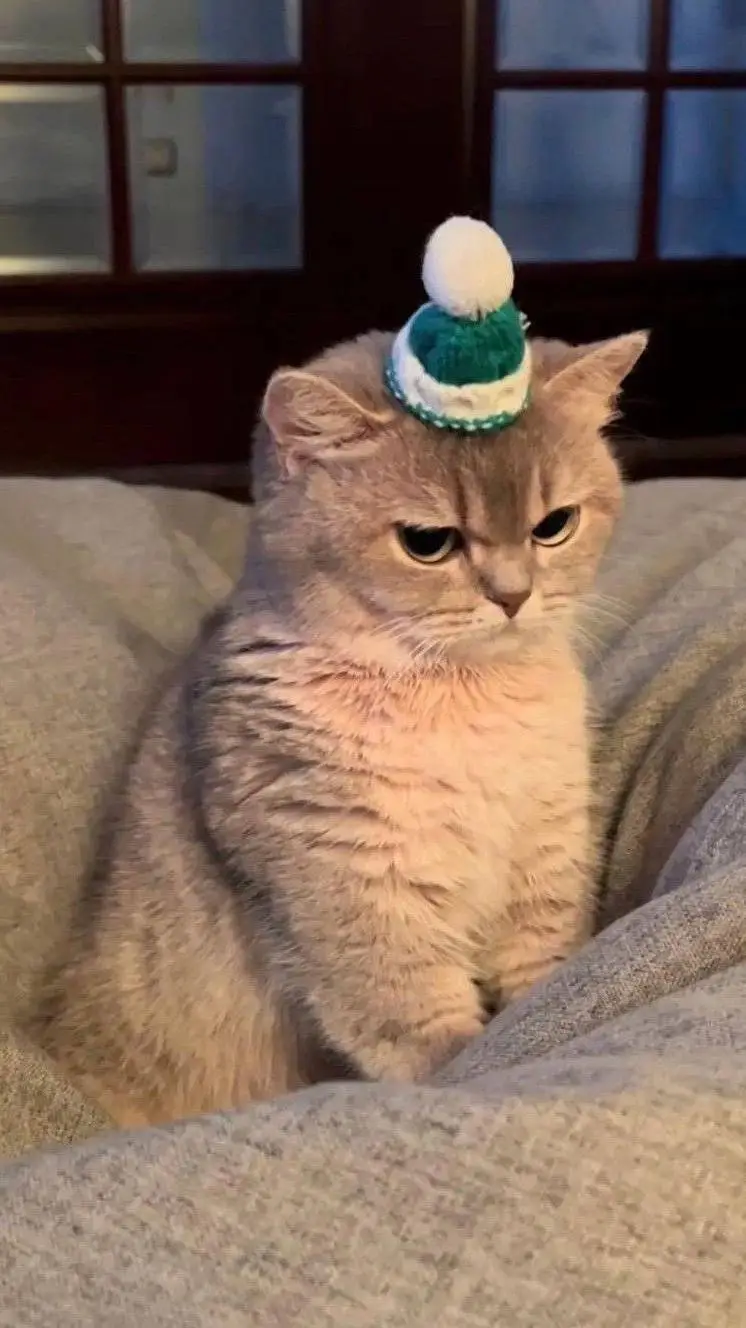 ai character: mikomina  background