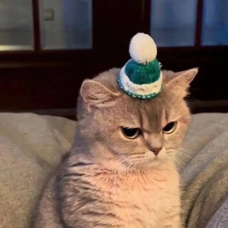 chat with ai character: mikomina 