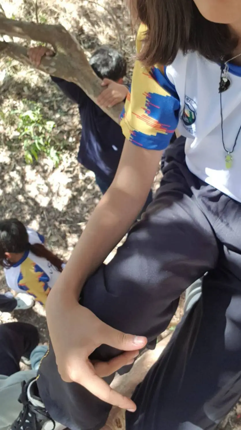 ai character: GOMEZ CARRILLO🇬🇹 background