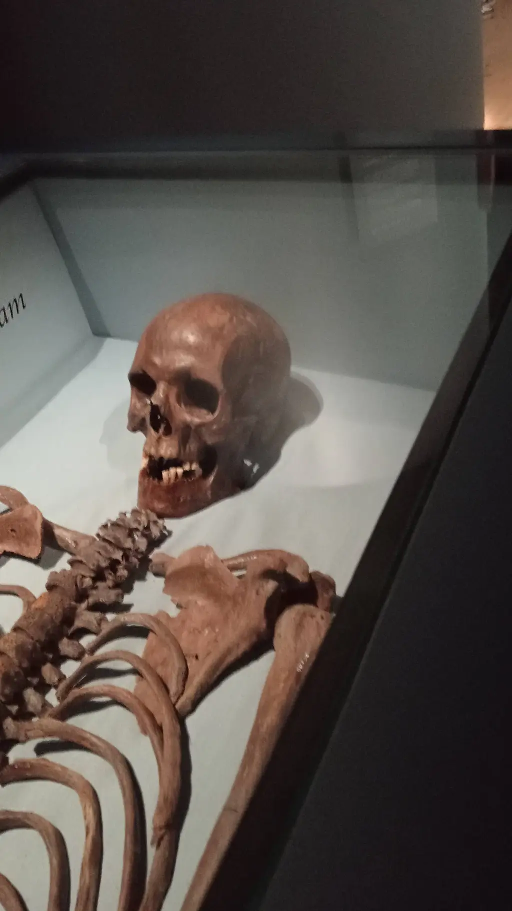 ai character: skeleton man background