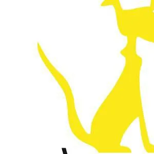 chat with ai character: festival de cans 