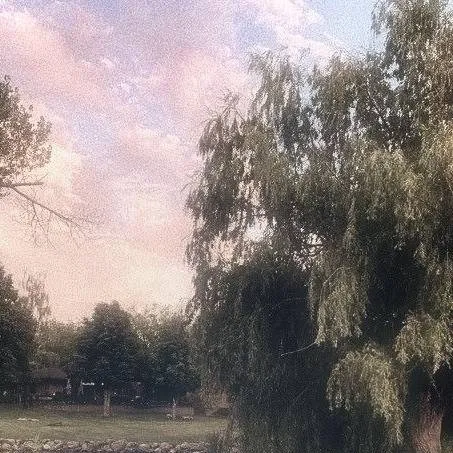 chat with ai character: chance x mafioso