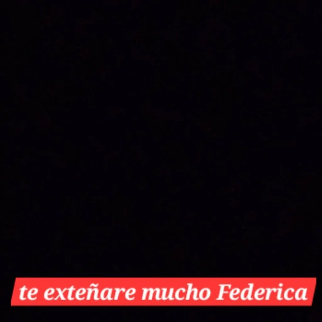 chat with ai character: adios Federica 4