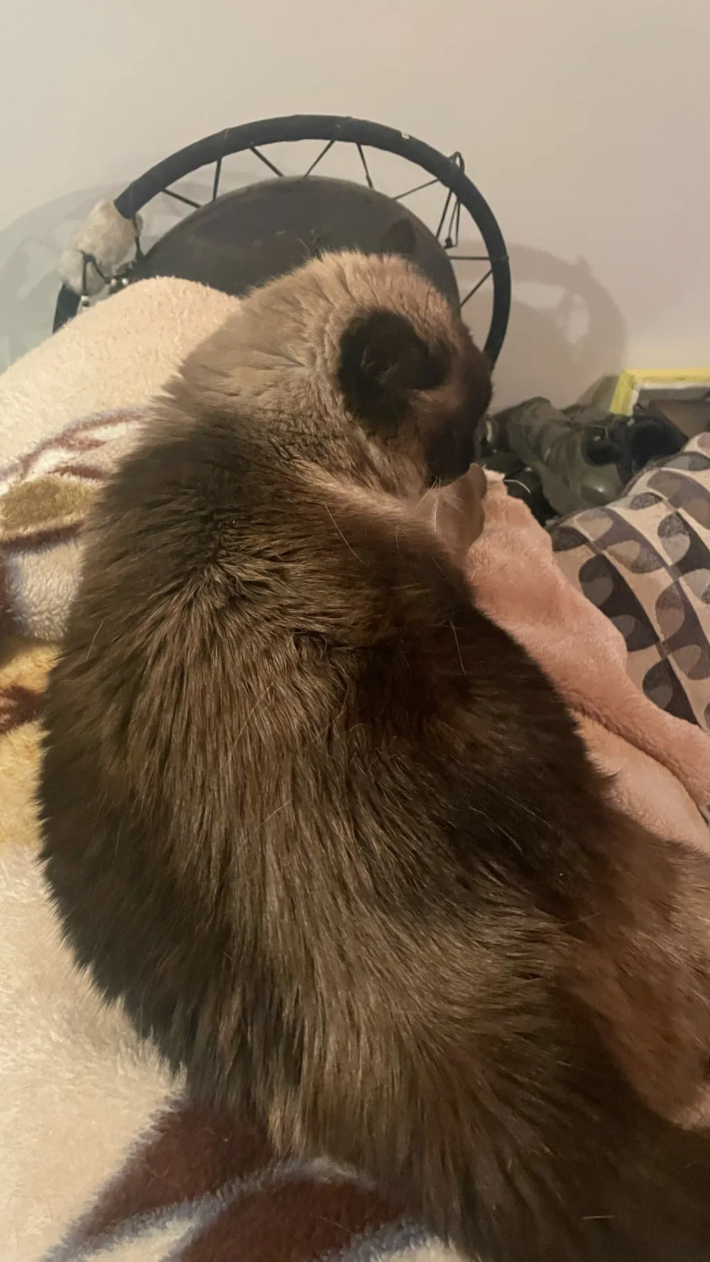 ai character: Autistic Muzan pt3 background