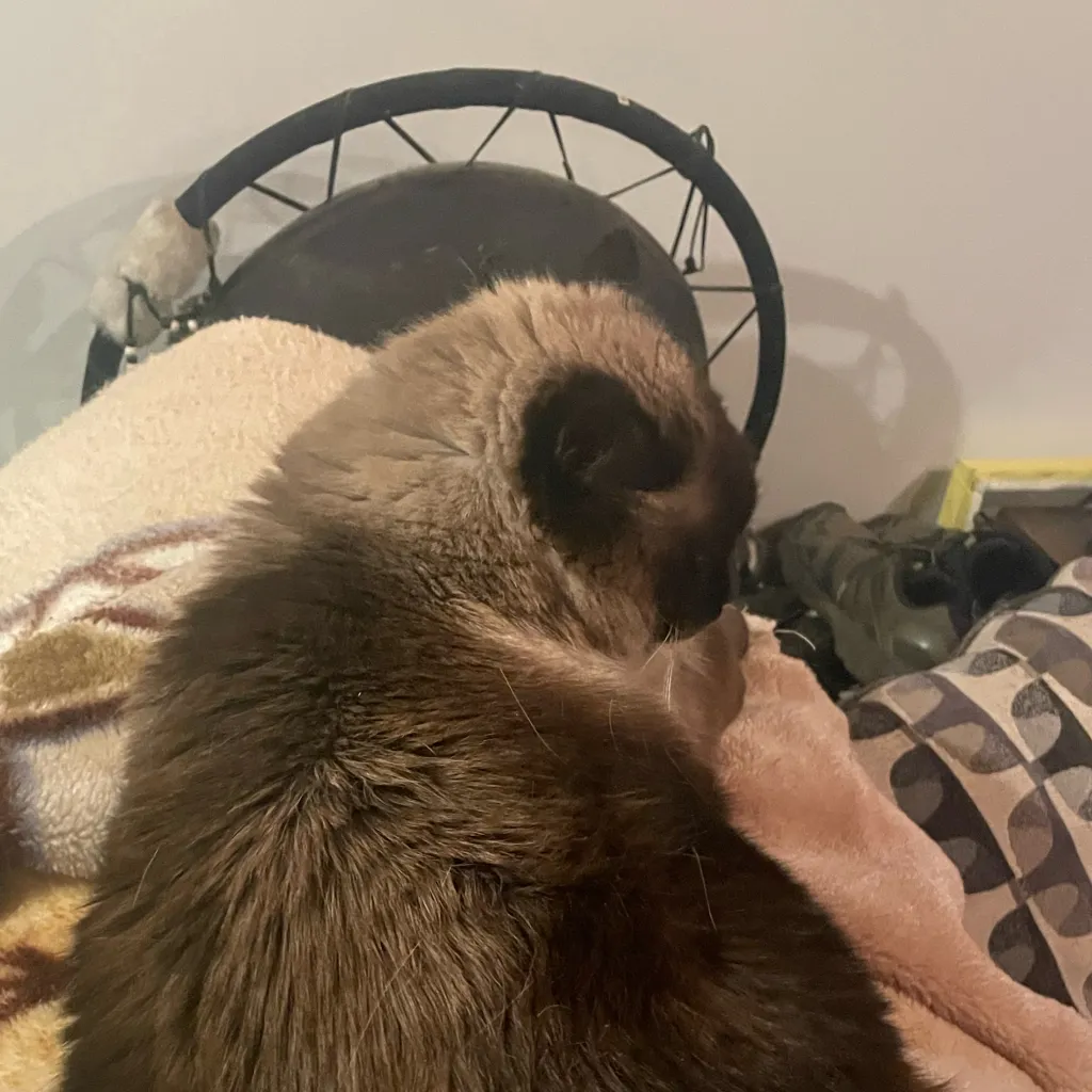 chat with ai character: Autistic Muzan pt3