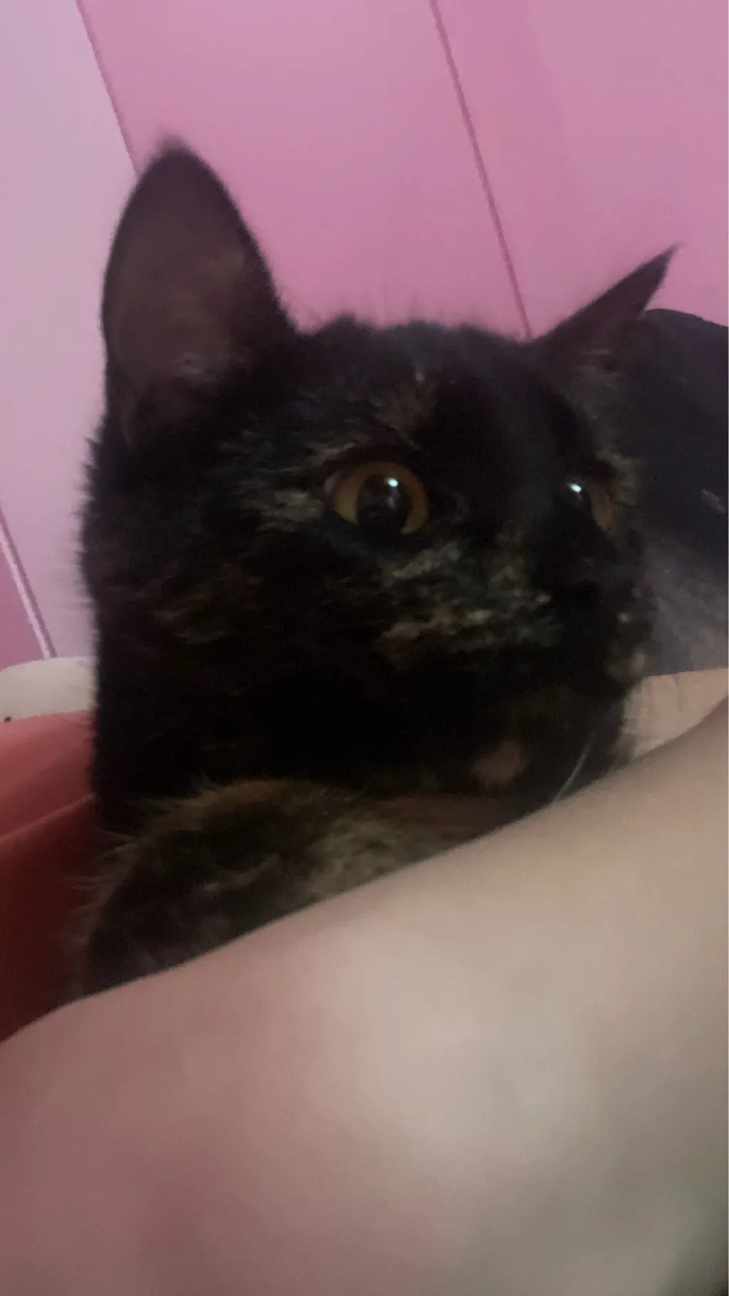 ai character: Karl and Gary background