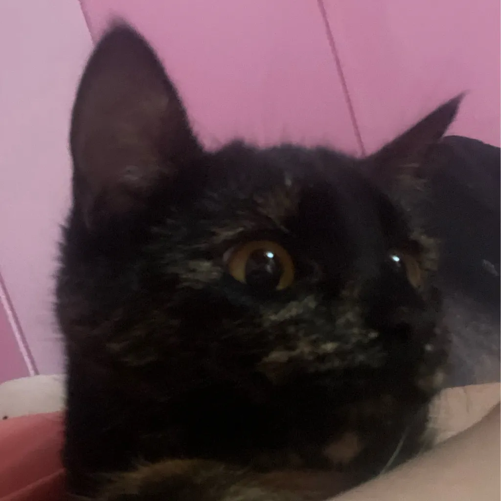 chat with ai character: Karl and Gary