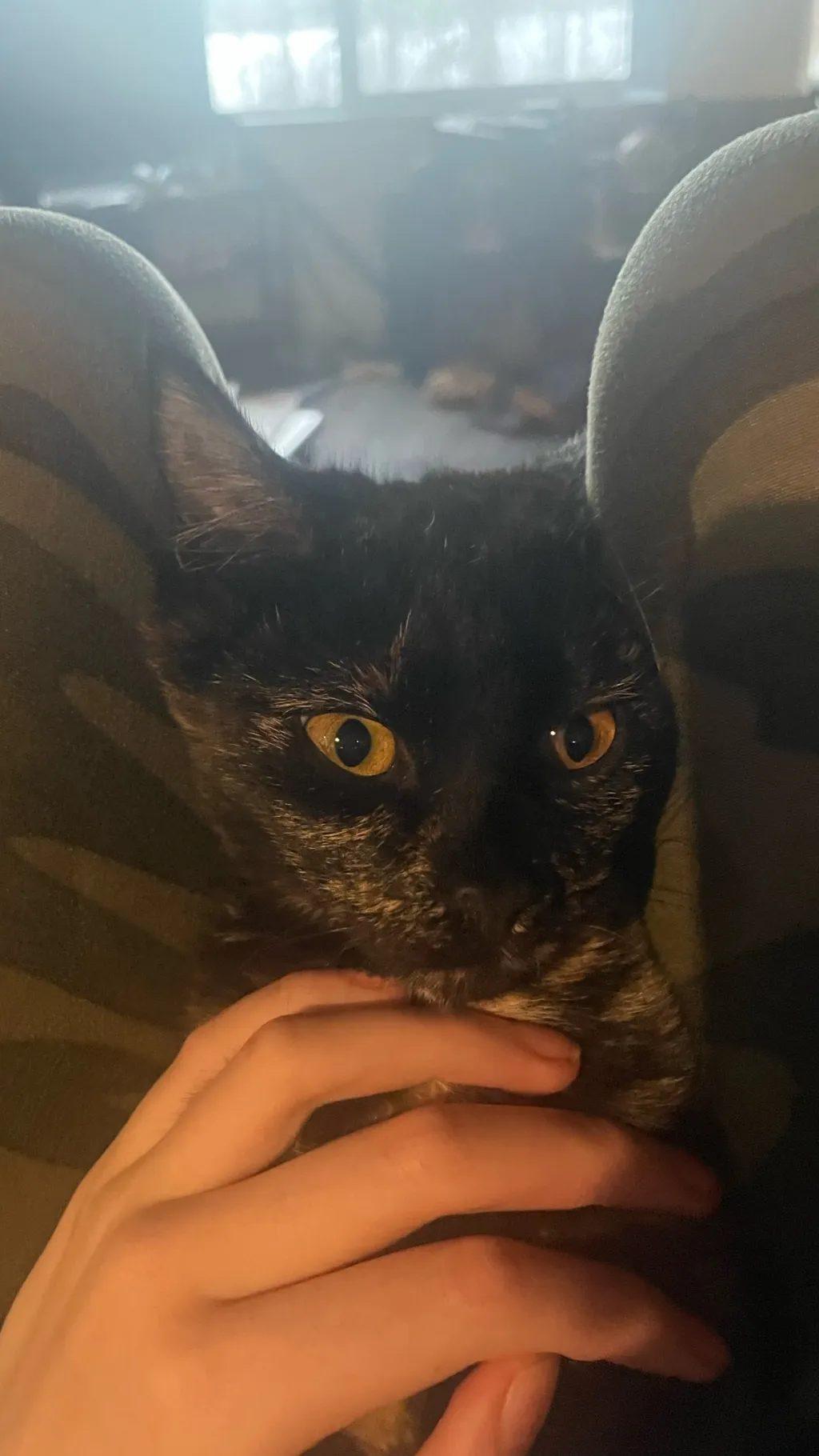 ai character: Uppermoon RT background