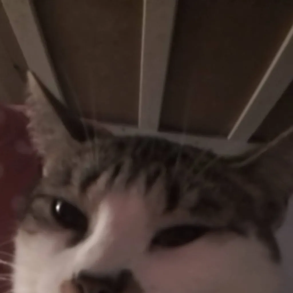 chat with ai character: kitty