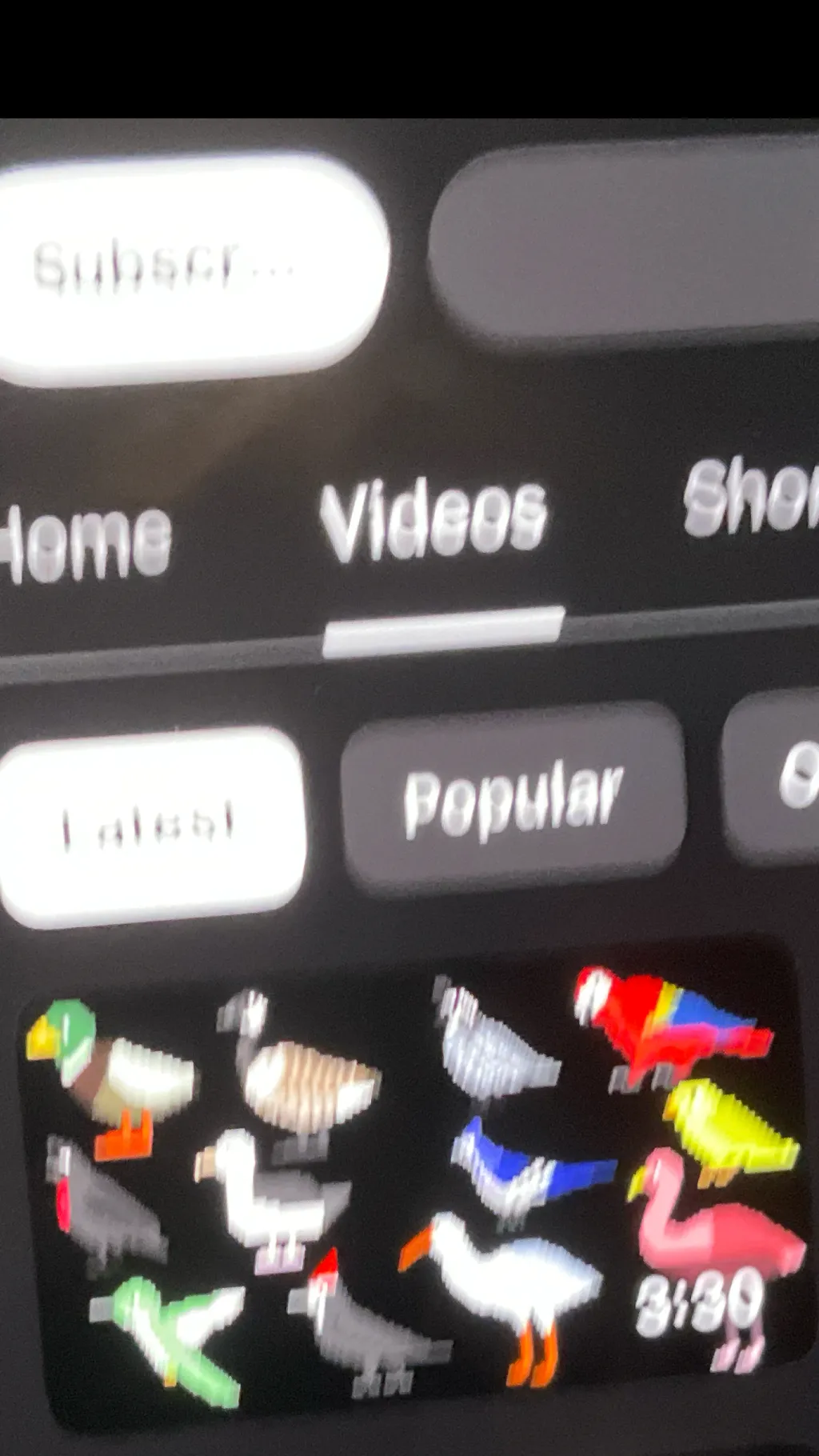 ai character: Birds 3  background