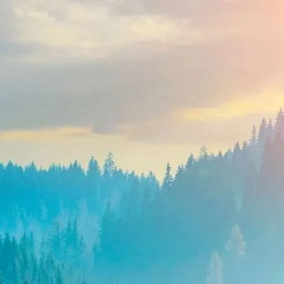 chat with ai character: Forest