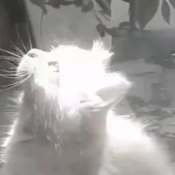 chat with ai character: Camilla