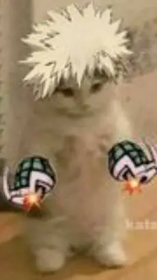 ai character: Cat-suki background