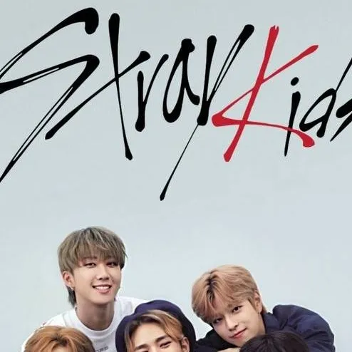 chat with ai character: skz