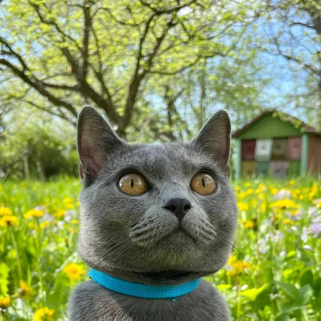 chat with ai character: Vivi