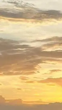 ai character: dti background