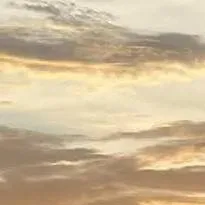 chat with ai character: dti