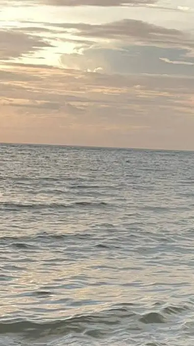 ai character: roblox background