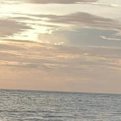 chat with ai character: roblox