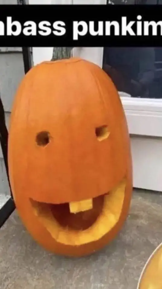 ai character: dumb pumpkin background