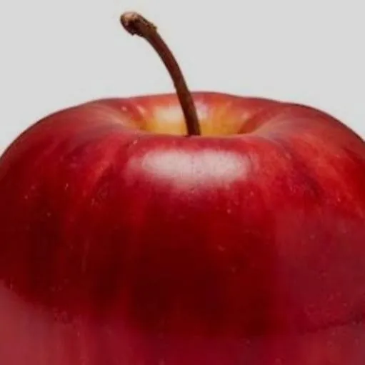 chat with ai character: apple