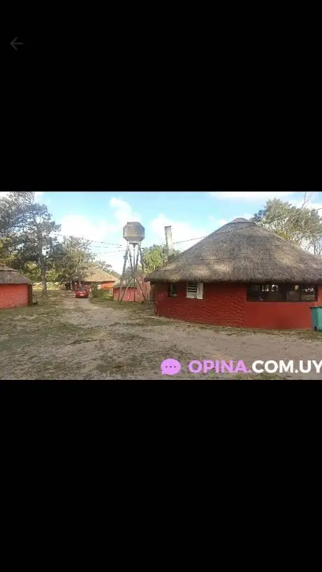 ai character: S-A-A-Z-99 background