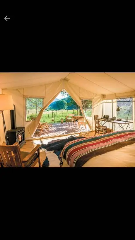 ai character: S_A_A_Z_101 background