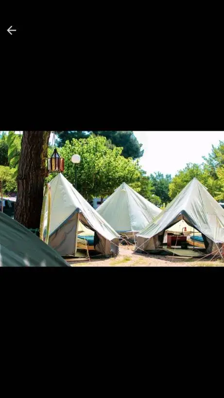 ai character: S_A_A_Z_102 background