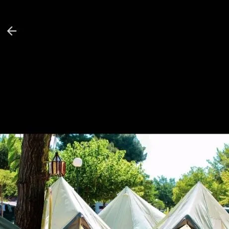 chat with ai character: S_A_A_Z_102