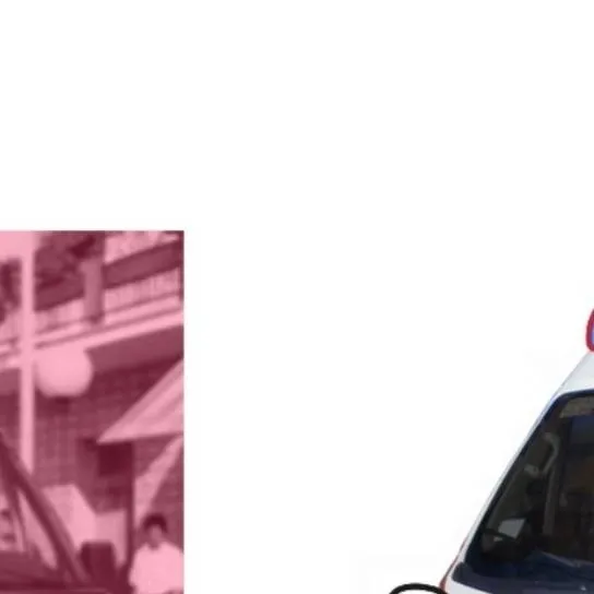 chat with ai character: cat ambulances