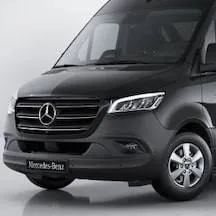 chat with ai character: Mercedes Deer