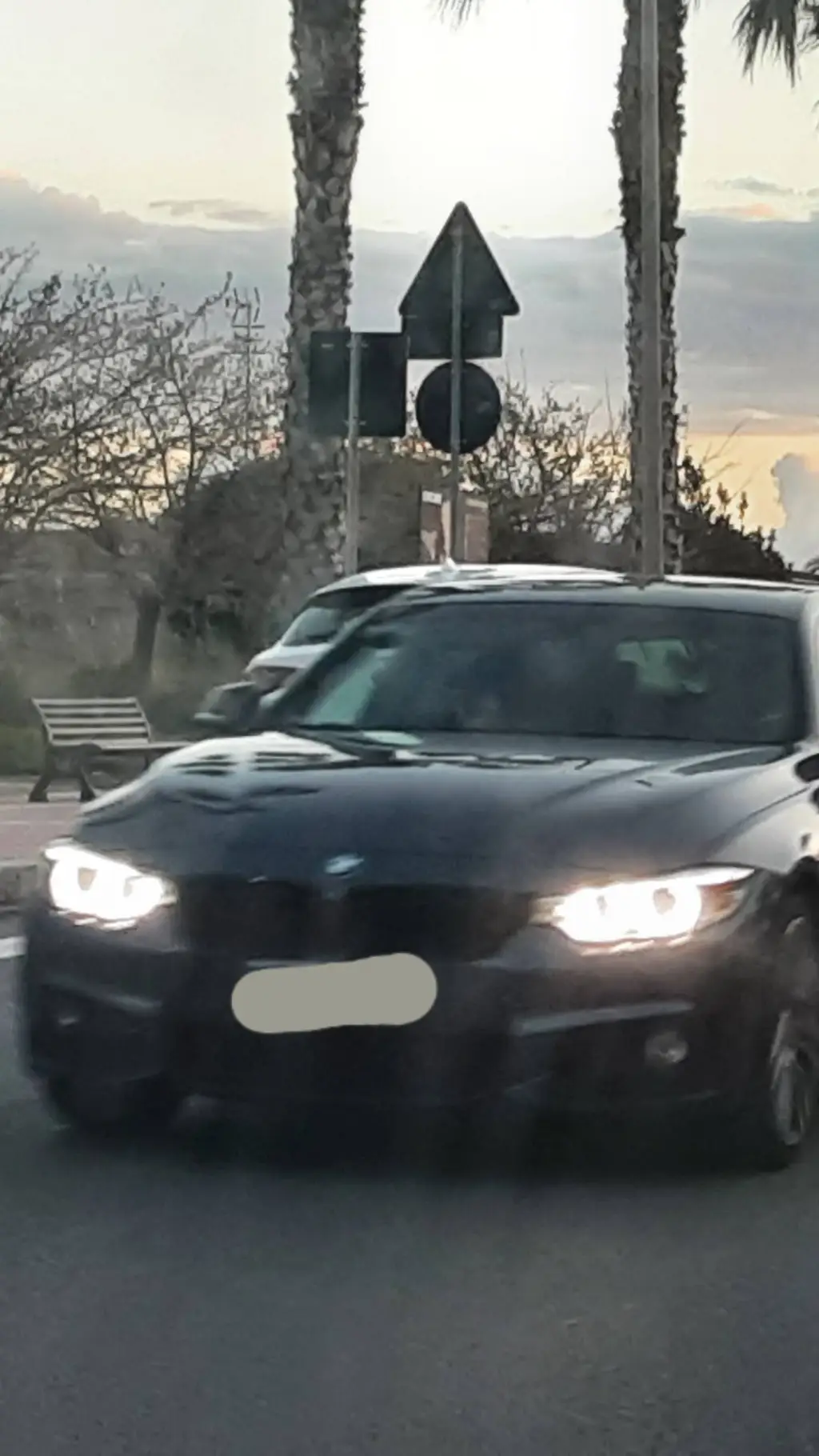 ai character: wolf cars background