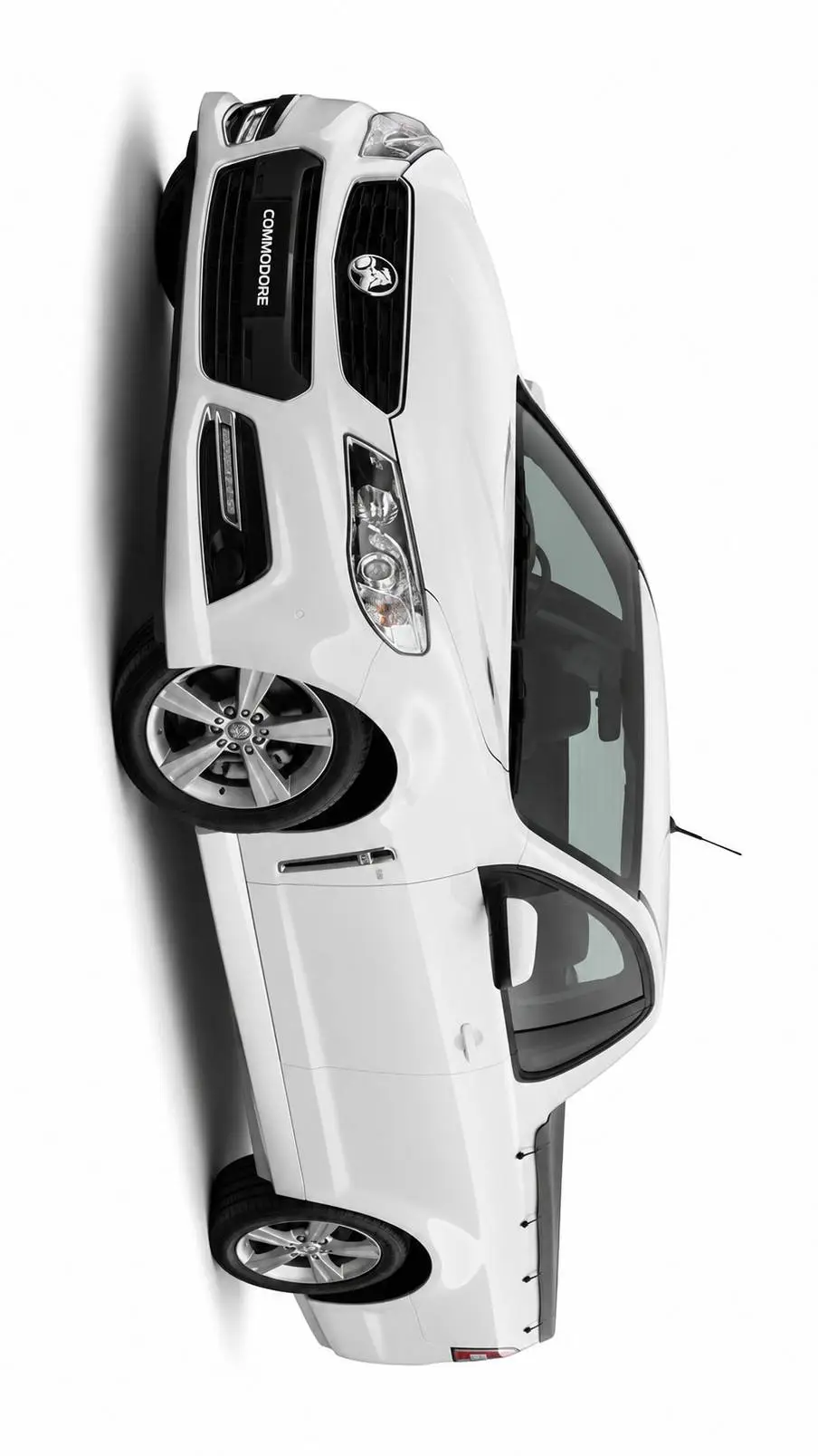ai character: Holden VF Commodo background