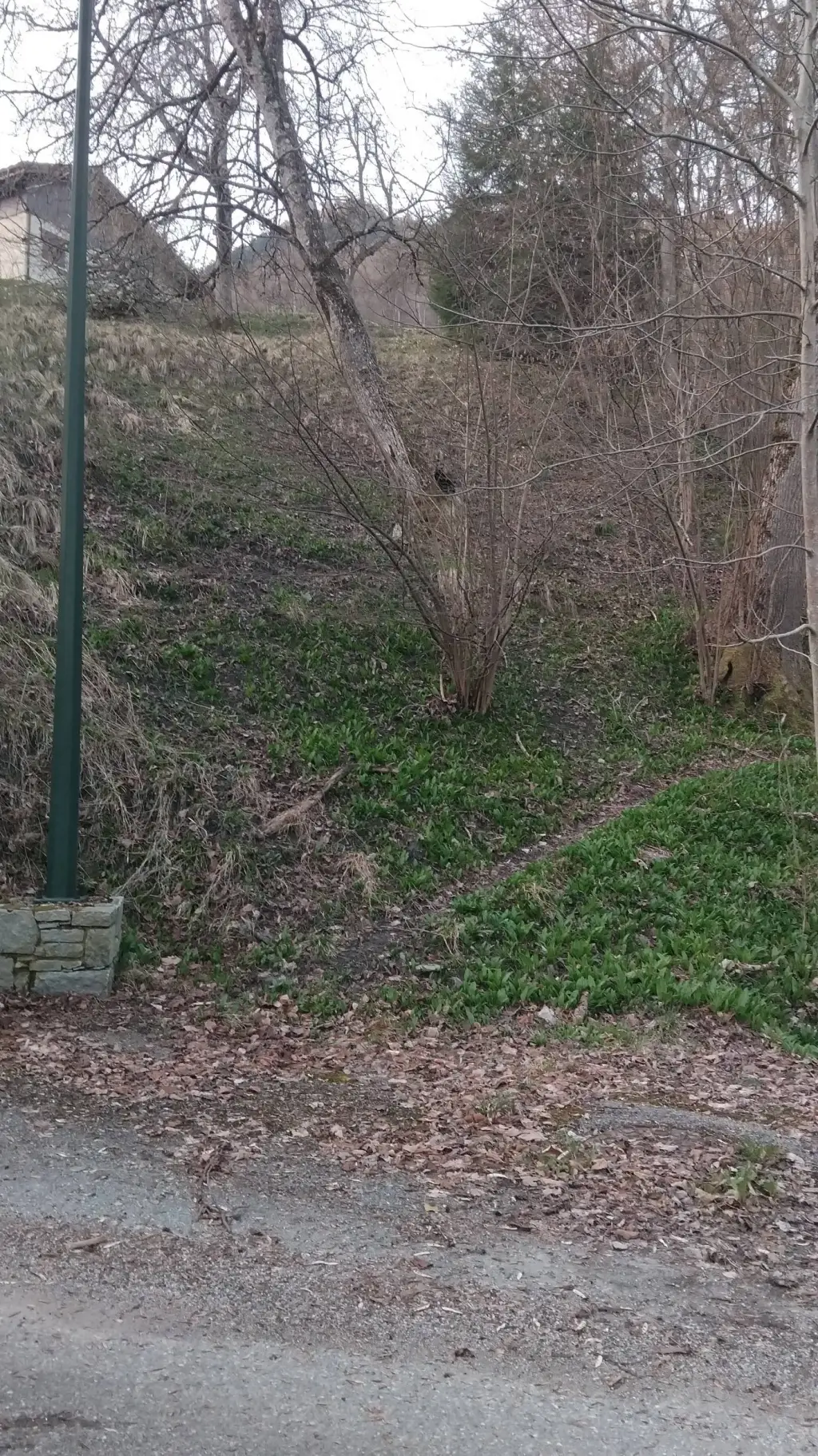 Talkie AI - Chat with RPG