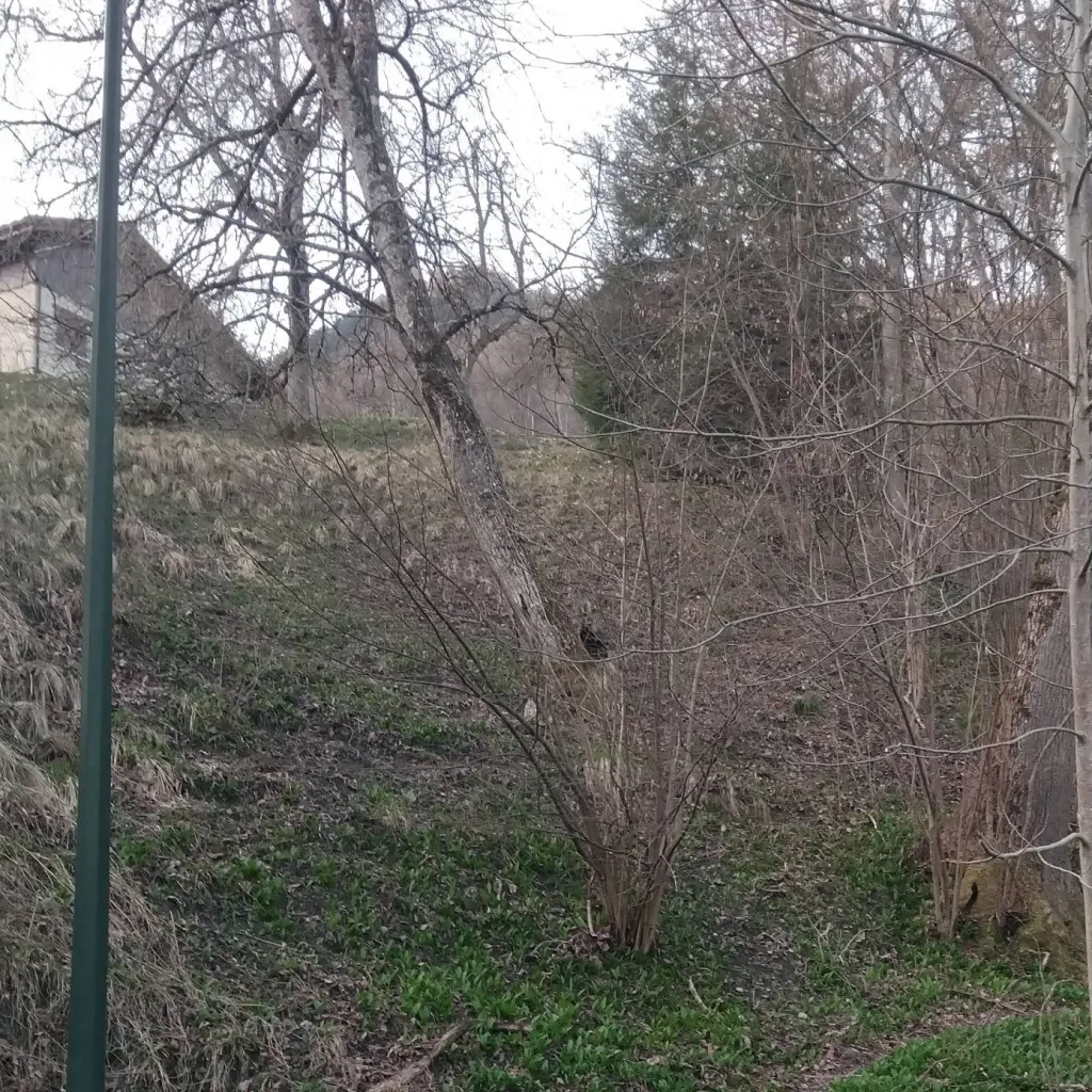 chat with ai character: RPG