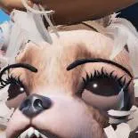 chat with ai character: Chihuawoki