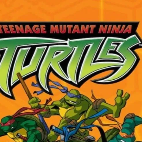 chat with ai character: tmnt 2003
