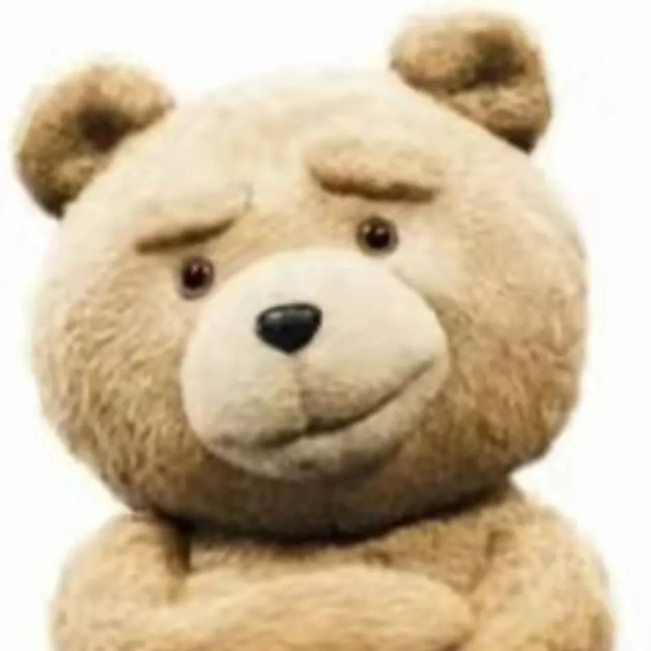 chat with ai character: Ted (From Ted) 